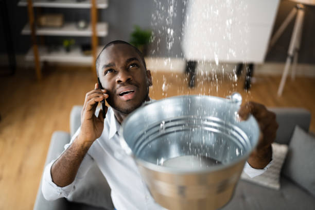 Best Carpet water damage restoration  in Boothwyn, PA