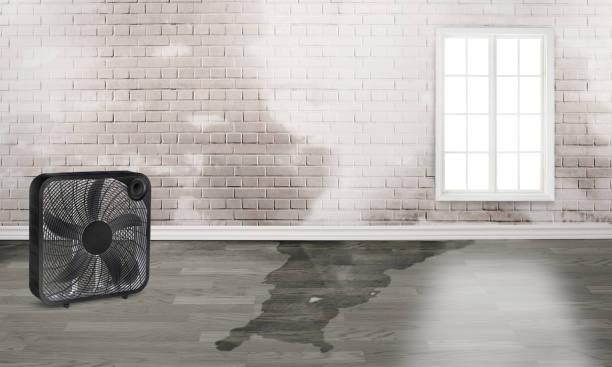 Best Residential water damage restoration  in Boothwyn, PA