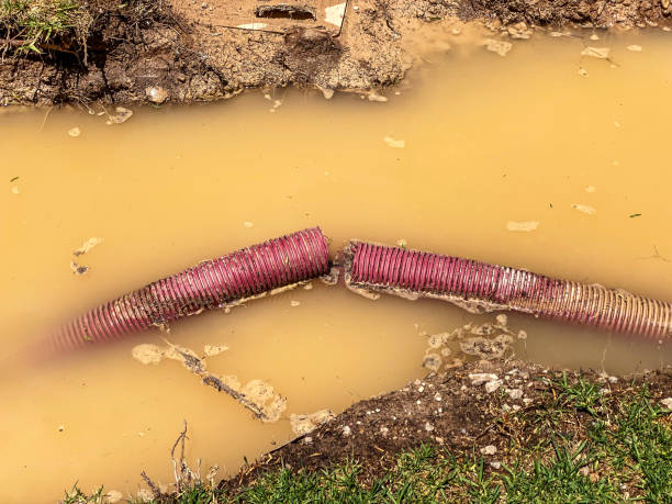 Best Sewage cleanup and water damage restoration  in Boothwyn, PA