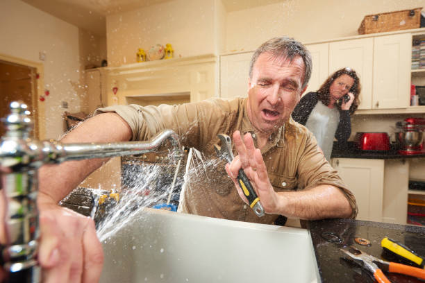 Best Water damage cleanup near me  in Boothwyn, PA
